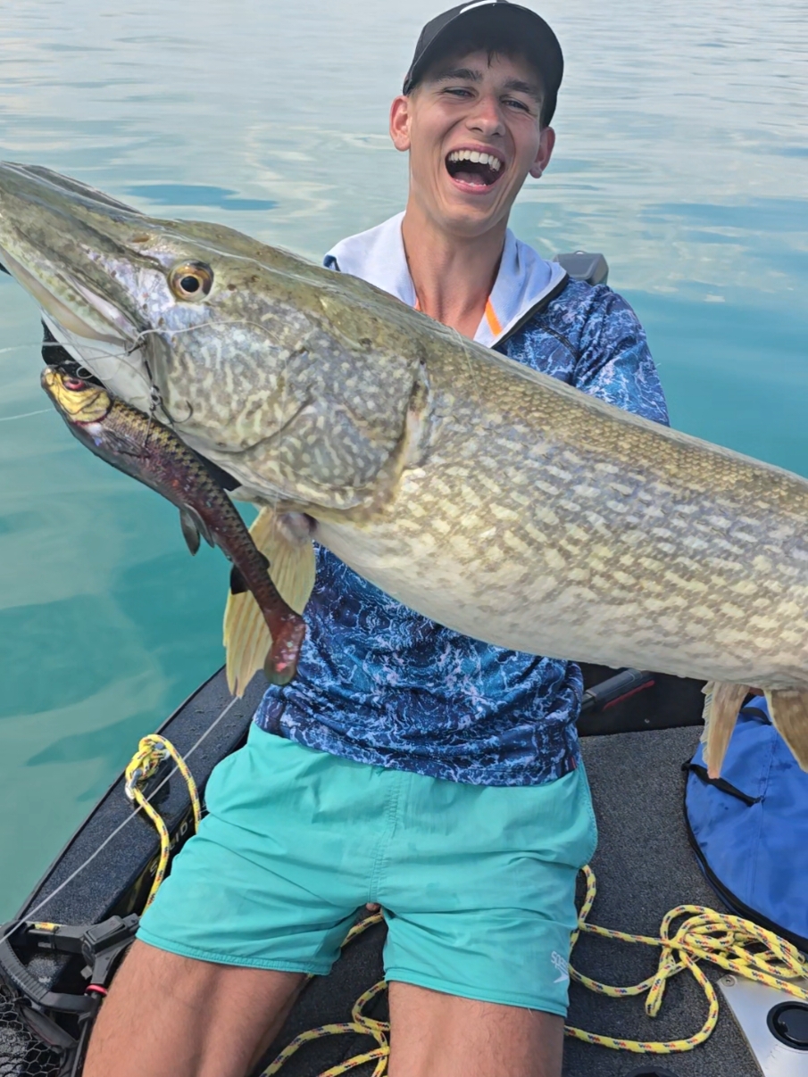 Traumhecht! #angeln #angler #fishing #fishinglife #fishingtiktoks #harzfishing #hecht #hechtangeln #pike #pikefishing @Savage Gear Official 