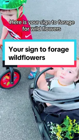 They arent perfect & thats why we love them 💐 #MomsofTikTok #dailymotherhood #wildflower #boymamaof2 #sahmlife #boymamalife #mylittlefamily #momtokers #nature #babiesoftiktok #toddlersoftiktokfyp #wholesomemomcontent #roadto5k 