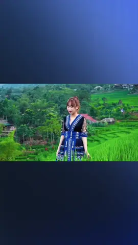 Beat - Gặp Nhau Giữa Rừng Mơ #khucnhactanthoi #bolero 