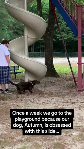 I can't believe Autumn tried to use it a 3RD time 🤣🛝 #RoadTo15Million #Pubity  (Stephanie Lawlor via ViralHog)