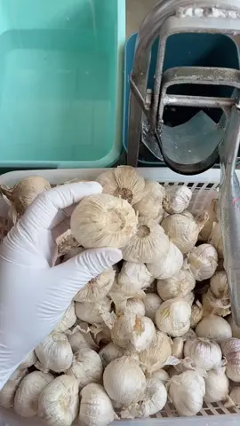 #boctoinhanh #boctoi #asmrtiktoks #thugian #nhipnhabep #hngtieudung 