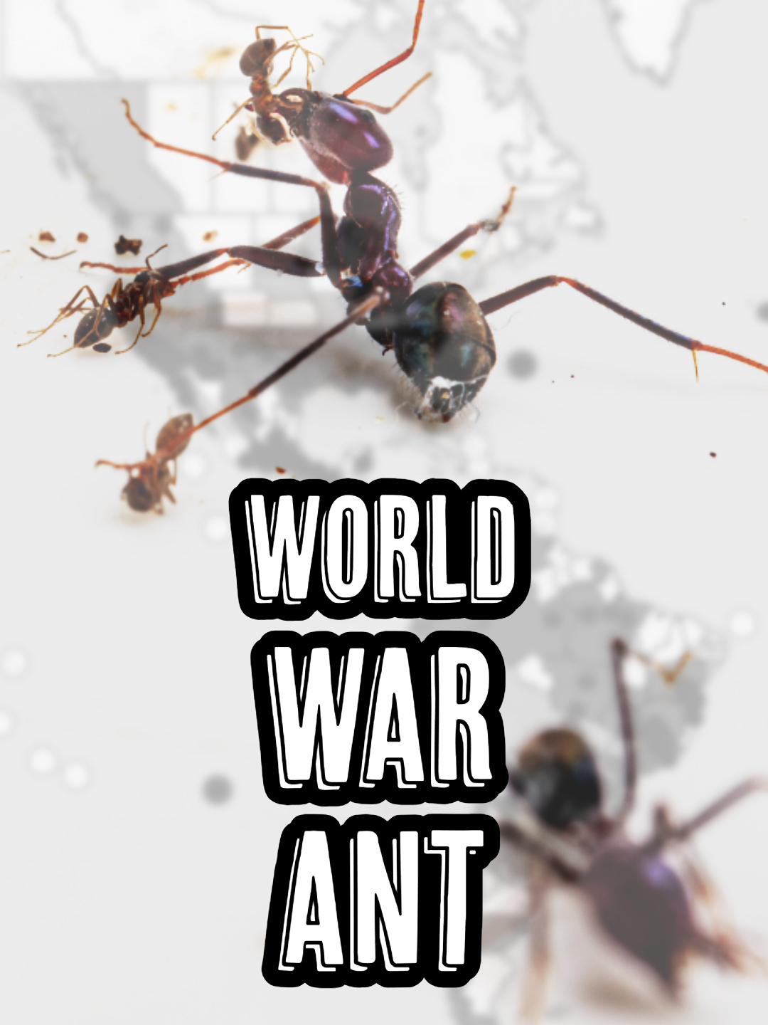 Argentine Ants are Engaged in Global Warfare! #mieren #ameisen #ant #ants #antsofinstagram #antsoftiktok #hormigas #fourmi #fourmis #naturephotography #naturelover #macroinsect #insects_macro #bugs #insect #queenant #insectsofinstagram #fauna #myrmecology #entomology #formicidae #antsofcanada #downtheanthill #canadianantshop #canadaantcolony #argentineant #harvesterant #meatant #Linepithema #humile #educational #Science #antwar #supercolony Transcript: Argentine ants, Linepithema humile, are fighting a world war. One global Alliance is trying to take over California, the Mediterranean, Australia, and Japan in a four front war, at least, if the dozens of smaller supercolonies can't stop them.  Argentine ants are an invasive ant with a special power; friendship. Instead of fighting each other, unrelated argentine ants will collaborate, working in alliances called supercolonies. By overwhelming native ants with sheer numbers, they spread around the world. But they're now facing their biggest enemy yet- other argentine ant supercolonies.  California hosts one of the biggest battlegrounds, as one large supercolony tries to crush the five smaller ones, resulting in hundreds of millions of deaths every year, and one of 4 major theaters in a global war. Because it turns out that the supercolonies have gone international. The largest supercolonies in Japan, California, Europe, and Australia are all allied to each other. When researchers put them together, they treat each other as one colony.  And those researchers theorize that this is just the tip of the iceberg. They believe some of the unstudied populations of Argentine ants are also part of the big supercolony and others, part of rival international alliances.