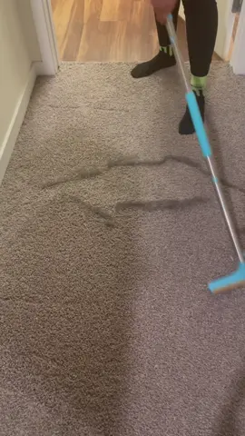 what did you see first? 👀 #pethairremovalbroom #pethairremoval #viral #uprootclean #fyp #uprootcleanerxtra #oddlysatisfying #CleanTok 
