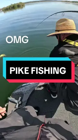 Pike fishing  #pike #fishing #brochet #esox 