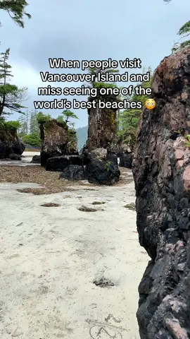 Why do so many people miss this beach when they visit Vancouver Island? This is San Josef Bay in Cape Scott Provincial Park and it is extremely remote and difficult to get to (that's why people miss it 😅). It's located at the northernmost tip of Vancouver Island - a whooping 7 hour drive from Victoria! ⚠️ The road from Port Hardy to Cape Scott is a 70 km, 2 hour drive down a rough logging road. The ride will be easier in a 4x4 vehicle with high clearance but it is not necessary. ⚠️ There are no services and no cell phone signal when traveling here. So ensure to carry all the necessary safety gear, map out gas stations, download maps/carry paper maps and carry a satellite phone/GPS messenger. Once you get to the trailhead, the hike to San JosefBay is an easy, 8.7 km out-and-back trail. Best times to visit are between May and September. ⚠️ When exploring the outdoors, make sure to Leave No Trace. Do you prefer the sunny views or the rainy views here? #sanjosefbay #capescott #vancouverisland #bestbeaches #hikebc #canadiancreators