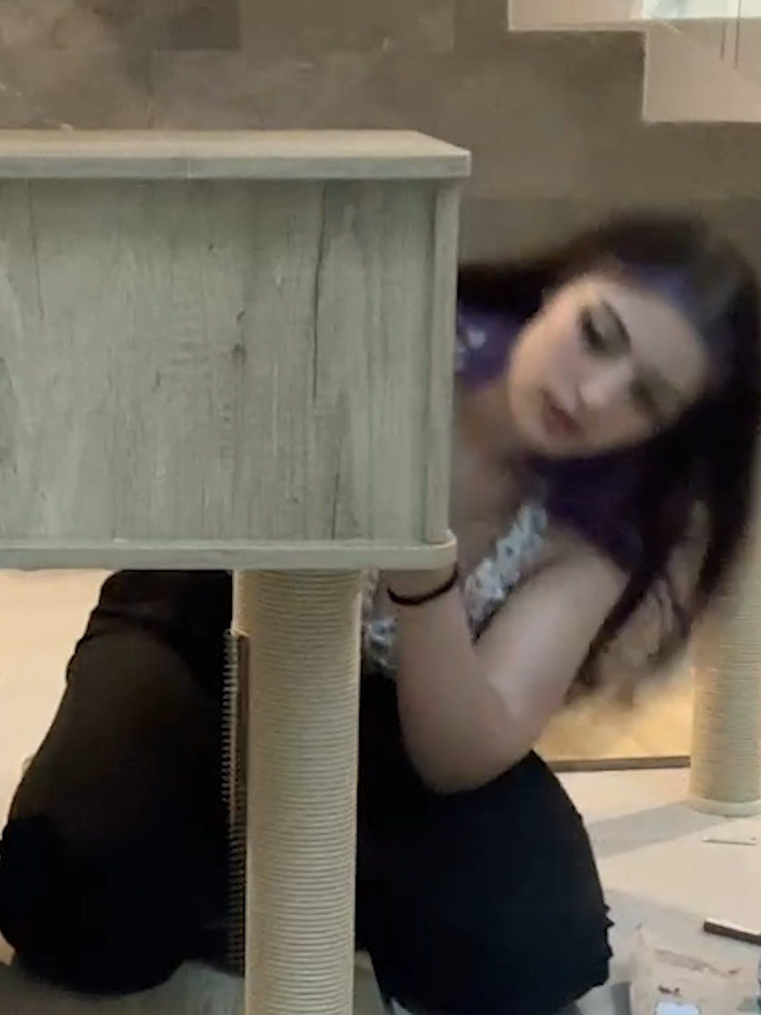 JULIETA CONSTRUYE # 2 😊 Les arme una mansion para gatos a mis gatitas jeje 💕 #girlofnox #girlofnoxclips