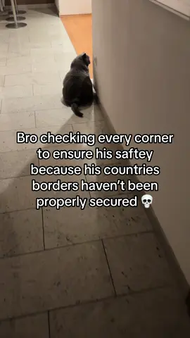 #europe 