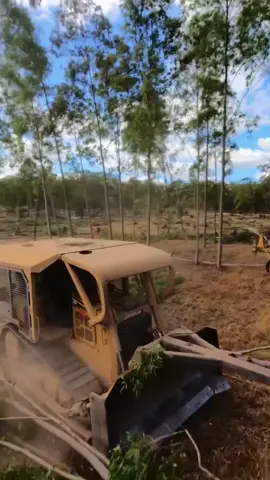 Forest Destruction by Bulldozer - Chain Pulling 🌲 #heavyequipment #bulldozer #caterpillar #landclearing #machinery 