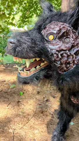 Fear Valley Wolf Home Depot 2024 . . . #homedepot #halloween2024 #halloween2024 #homedepothalloween #animatronic #animatronicos 