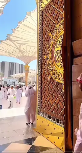 Những chiêc ô che nắng lớn nhất thế giới 😳👏👏👏#discovery #khampha #travel #dubai #umbrella #trending #viral 