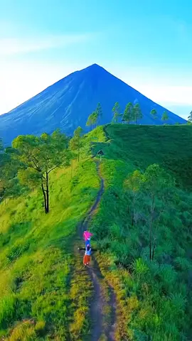 Thương Về Quán Trọ  ...!!!                                Cs : Công Tuấn                                              #xh #nhachaymoingay #bolero #foryou #CapCut 