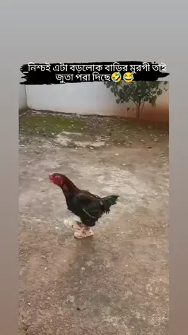 #জীবনে আর কত কি দেখবো😁😅🤣#ফানি_ভিডিও #foryou #foryourpage #funnyvideo #bdtiktokofficial #unfrezzmyaccount @TikTok @TikTok Bangladesh @TikTok Trends 