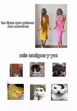 #foryoupage #sierrauzaki #amigos #cat #parati #fypシ゚viral #meme #memes #tiktok 