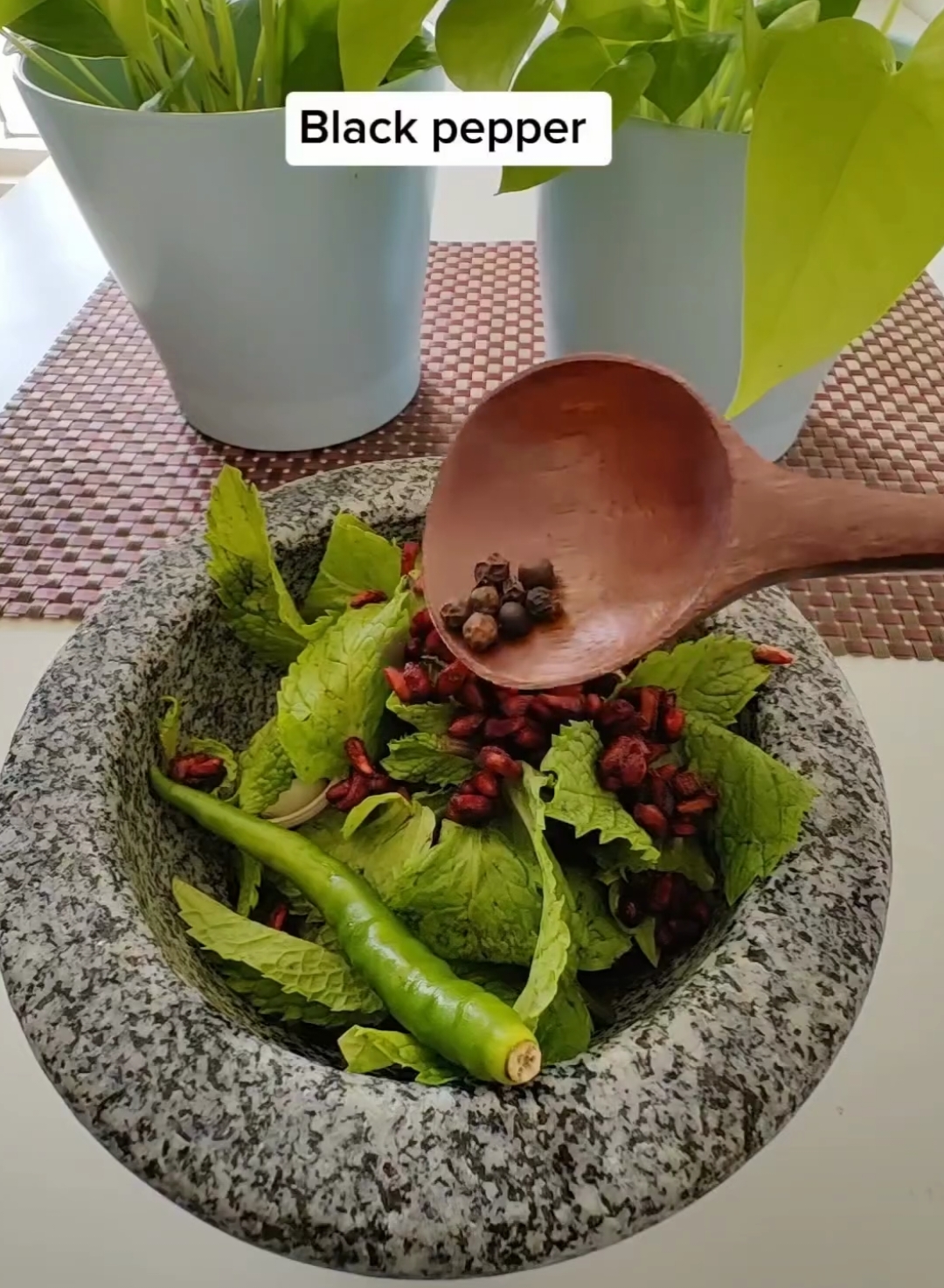 Khoon patla karne Wali chatney by Dr Sharafat Ali #reelsinstagram #reelitfeelit #viralreels #feed #health #healtips #healthyeating #healthyfood #dubai🇦🇪#uae🇦🇪🇦🇪🇦🇪tiktok💕❤️💕❤️ 