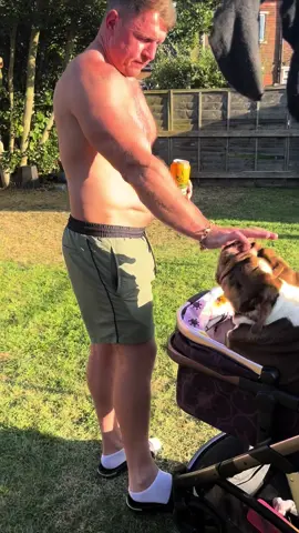 If ur not treating your pooch like this, you’re doing it wrong 😆❤️#garythebulldog2 #gary #garythebulldog #bulldog #english #englishbulldog #funny #princess #pushchair #puppy #baby #cute #loved #britishbulldogoftiktok🌸 #cuteanimals #funnydogs #cuteanimals 