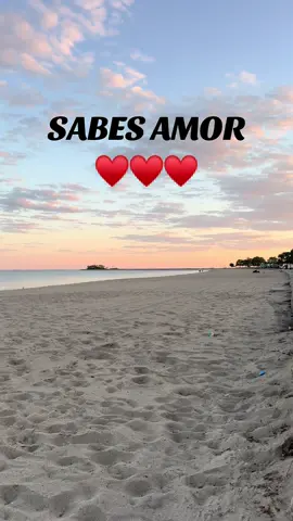 TE AMO MI AMOR♥️🥰      #fyp #parati #teextraño #canciones #musica #paradedicar #rolitas #miamor #romantica #teamo #enamorados #joansebastian 