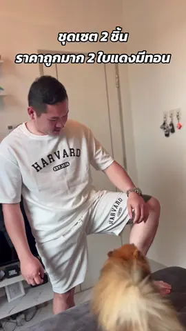 ดูดี กี่โมง55555555 🤣🤣 #ชุดเซ็ต #ชุดเซ็ตผู้ชาย #เสื้อผ้า #เสื้อผ้าผู้ชาย #เสื้อผ้าแฟชั่น #ผู้ชายเทสดี #เทสดี #หุ่นหมี 