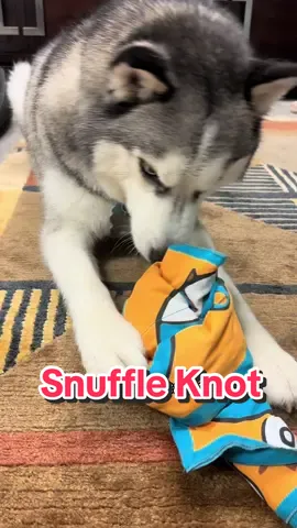 This is such a great enrichment toy to mentally stimulate my dog! It’s really easy to use and works great  #dogenrichment #enrichmentfordogs #dogessentials #dogtoys #dogmusthaves #dogstimulation #dogsoftiktoks #dogtoks #fypage #foryourpage #snuffleknot 