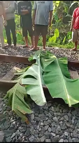 #infoterkini #foryoupage #fypviralシ #infotasik #tiktoklive #viral  #fyppppppppppppppppppppppp #tasikmalaya #manonjaya #relkereta #fypdongggggggg #LIVETIKTOK #kecelakaan 