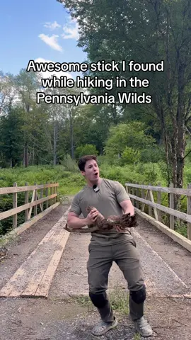 𝙎𝙩𝙞𝙘𝙠 𝙇𝙤𝙖𝙙𝙤𝙪𝙩𝙨:  𝙃𝙚𝙖𝙫𝙮 𝙂𝙪𝙣𝙣𝙚𝙧 Just a simply stick video today folks 🥰 While hiking around Elk County PA, I found this incredible stick that any armory would be lucky to have in its arsenal. This awesome stick was too good to leave, so I hiked it back about 2 miles to my car.  Totally worth it. #nature #Outdoors #Hiking #camping #coolstick #sticknation #skit #starwars #callofduty 