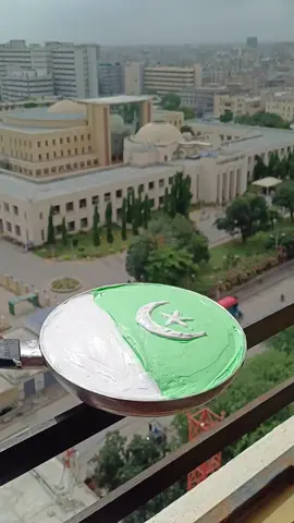 14 August special cake  #daily #trend #viralvideo #homemade #fyp #trendingvideo #trendingvideo #1million #trendingvideo 