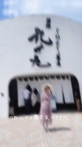 九十九じねんじょ蕎麦🤍 #じねんじょお蕎麦九十九 #お蕎麦#蕎麦#じねんじょ#九十九#箱根蕎麦#箱根#fyp #旅行 #旅行日記 #Vlog 