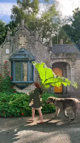 normal sized things 🌱🐺 cape by @morningwitch studio 🌼 #fairycore #cottagecore #irishwolfhound  