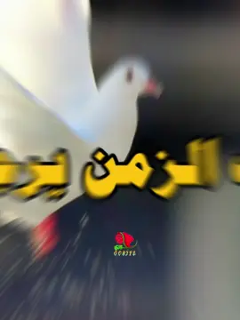 ليت الزمن يرجع 😿🕊️🪽#مقاطع_حزينه #خواطر_القلب #stitch #foryoupage #أستوريات_الفراق #fyp #أستوريات_الحب #العشق #anime #حالات_واتساب #youtube 