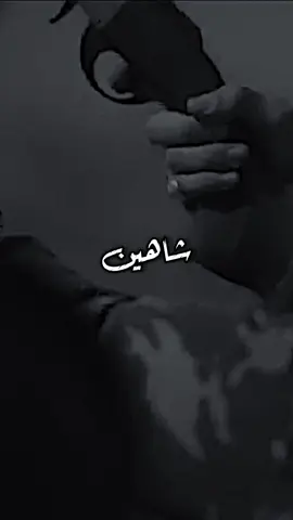 الشـاهين طير حر 👌🔥 #شاهين_شيخ_الجبل #الهيبة #حكيم_الأصيبعـي🖤 #🇱🇾 #fypシ #tiktokindia 