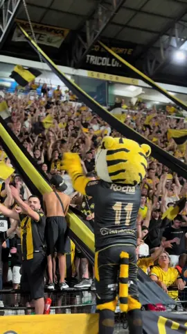 Não tem jeito, a nossa torcida é sensacional 🔥🐯  #tiktokesportes #criciuma #futebol #Torcida #serieA 