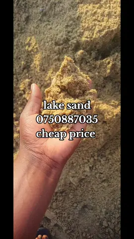 #selling #fypシ゚viral #goviral #kellymanie , contact me to deliver up to the site