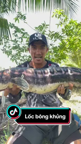 Hành chình trinh phục bông 1x..! Phần 2 #ductrongfishing 