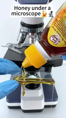Honey look cool at 400x magnification!#microscope #tiktok #foryou #funnyvideos #fy 