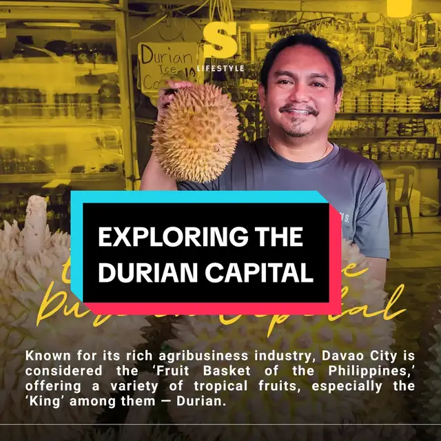 'TAG PILA NA BA ANG DURIAN KARON?'  Known for its rich agribusiness industry, Davao City is considered the “Fruit Basket of the Philippines,” offering a variety of tropical fruits, especially the “King” among them — Durian. Read more: https://www.sunstar.com.ph/davao/lifestyle/exploring-the-durian-capital #ThisIsKadayawan #Kadayawan2024 #KingOfFestivals #AllYouNeedToKnow #SunStarLifestyle 