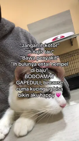 🥺💗 #fypシ゚viral #catlover #savecats #foryourpage #catsoftiktok 