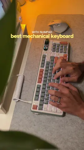 i think this is the best full-sized mechanical keyboard -- royal kludge S98: - trimode - thocky sound - rgb backlight - volume knob - tft display - with numpad, ofcourse! #mechanicalkeyboard #thockykeyboard #creamykeyboard #bestkeyboard #budgetkeyboard #gamingkeyboard #royalkludge #royalkludges98 