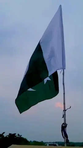 #That,s True 👍🏻🧐🤫😎#_viral🙈😁🤣🤧 #likefollow #🕊️🤍 #easthic 