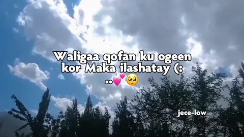 love saar ❤️😭  #fypシ゚viral #foryou #foryoupage #jecelow #wllhaara #soomalitiktok 
