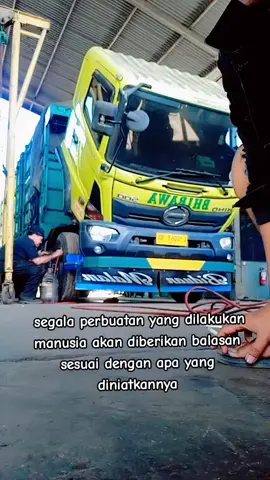 opo jare