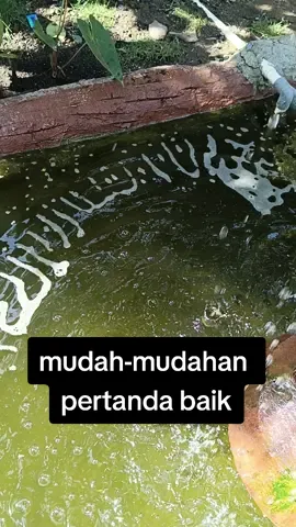 ada lafadz ALLAH di kolam ikan. ada yg bisa jelas kan? #fyppppppppppppppppppppppp #@MANGALOKSA 
