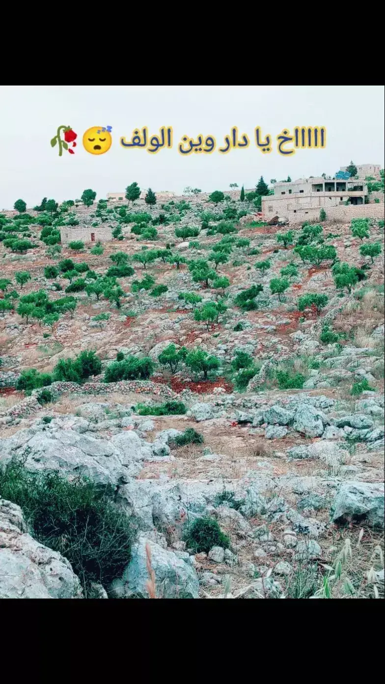 ااااخ يادار🥀🥀