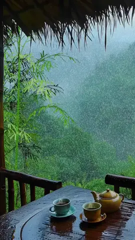 Tea time bliss in a cozy forest cabin, as gentle rain falls outside #cabinlife #raindrops #tea 