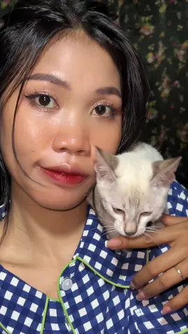 លេបបានលេបហើយ🌷🕊️🌱#nimnounkpc #foryourpage #viral #funnyvideo #fyp #cat 