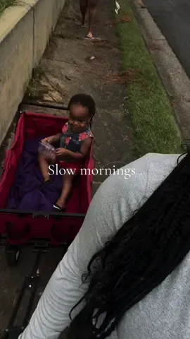Slow mornings + family time featuring my nephew @BabyD3 💙  ✨enjoy life & everyone who’s in it with you  #themerajanae #lifestylevlog #slowmornings #contentcreator #softlife #nephew #ducks #morningwalkvibes
