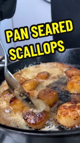 Quick ‘n’ Easy Pan Seared Scallops! #scallops #seafood #danosseasoning #EasyRecipe #FoodTok #tiktookfood #cooktok 