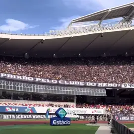 O estadio caiu ☠️ #vitizinn_1905 #remo #fyp #viral #remotv 