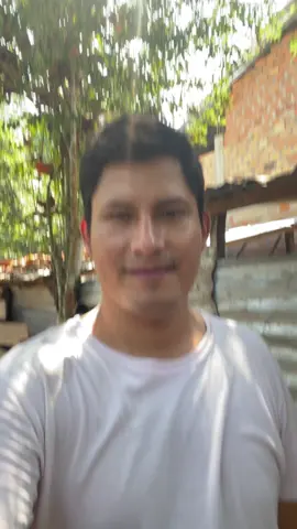 Mostrando mis pollitos de chacra