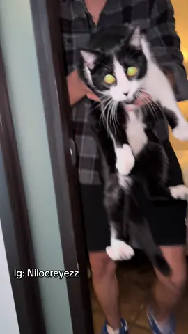 Los papas son gandallas 😓 #parejas #papas 