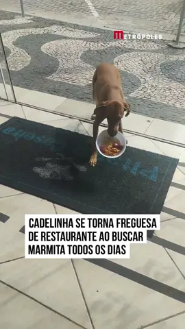 🥹🐶❤️ Em tempos onde cada vez mais pessoas se dedicam a ajudar animais de rua, oferecendo alimento, carinho e cuidados, um vídeo encantador chamou a atenção do público nas redes sociais. A jovem Eliziane Silva decidiu presentear uma cadelinha com uma marmita fresquinha na porta de um restaurante. O gesto rapidamente se tornou viral na internet. “Restaurante Pitada Caseira tem marmita para todos os gostos, inclusive para os Caramelos (ou melhor... Caramela)”, comentou Eliziane na legenda. A cachorrinha, agora conhecida como uma cliente fiel do restaurante, tornou-se uma atração diária no local. Apelidada de Caramela por Eliziane, ela pega a marmita e sai correndo, encantando tanto os funcionários quanto os frequentadores do restaurante. A publicação encantou e divertiu as pessoas na web. “Que linda atitude e belíssimo prato”, elogiou uma internauta. Outra pessoa brincou: “Obrigada pelo almoço, mas tô vazando.” O que acharam da atitude? ➡️ Veja mais no metropoles.com 🎥 @ElizianeVisbiski | @myhoodbr