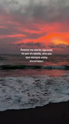 Zi zoy👑🙊 #niñadecasa #sisoy😎👌 #videosparastatus  #frasesmotivadoras🦋 #siganmeeeeeeee❤️❤️❤️❤️❤️🥀🙏🙏 #fracesdelavida #fypシ 